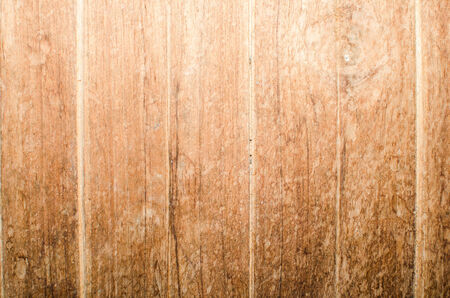 Trees occur naturally beautiful with different textures can be used in various fields as well の写真素材