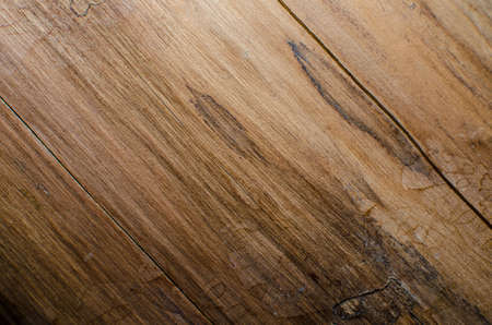 Trees occur naturally beautiful with different textures can be used in various fields as well の写真素材