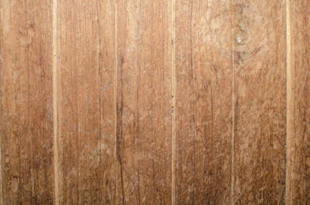 Trees occur naturally beautiful with different textures can be used in various fields as well の写真素材
