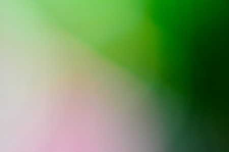 Beautiful background would result in a portfolio that is admirable  This is the background image that you can apply to be part of your precious work の写真素材