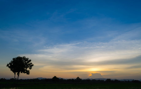 In the season of rice in Asia has made delivery of the beautiful scenery  I see the bright and breezy comfort の写真素材