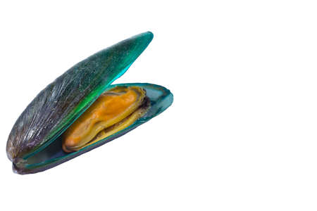 MUSSEL Is a double shellの写真素材