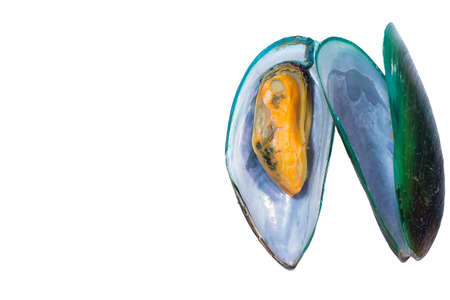 MUSSEL Is a double shell