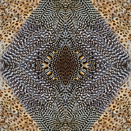 pattern made from Green Peafowl featherの写真素材