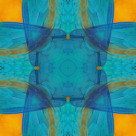 Seamless pattern made from Blue and Gold Macaw feathers 