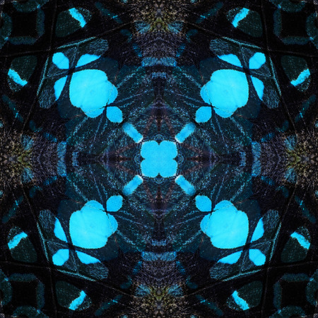 Beautiful background pattern made from butterfly wing seamless patternの写真素材