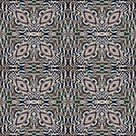 Beautiful background made from Green Peafowl feathersの写真素材