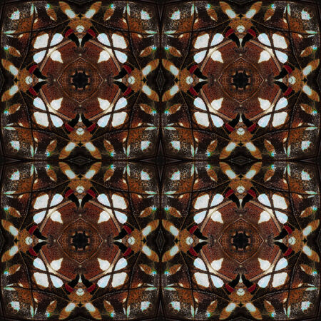 Beautiful background pattern made from butterfly wing seamless patternの写真素材