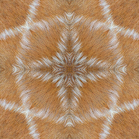 Beautiful seamless pattern made from deer skinの写真素材