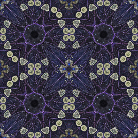 Colorful background pattern made from butterfly wing