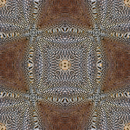 Beautiful background pattern made from Green Peafowl feather 