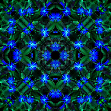 Beautiful seamless pattern made from Plumeria or Fangipani flower