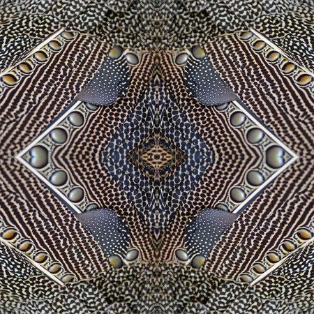 Colorful seamless pattern made from Great argus feathers