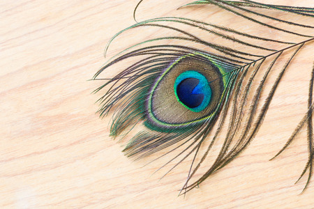 Beautiful Green Peacock feather on wood texture backgroundの写真素材