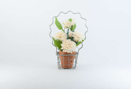 Jasmine in basketの写真素材