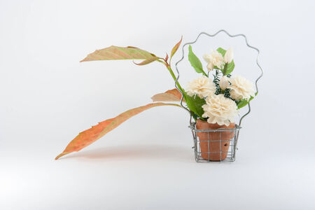 White Jasmine in Basket and Autumn Leavesの写真素材