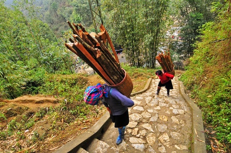 Two hill tribe women carry wood, Vietnamの写真素材