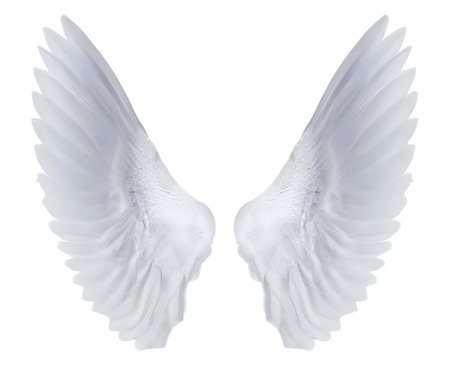 white angel wings isolated on white background. Generative AI.の素材