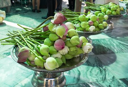 Green lotus  at templeの写真素材