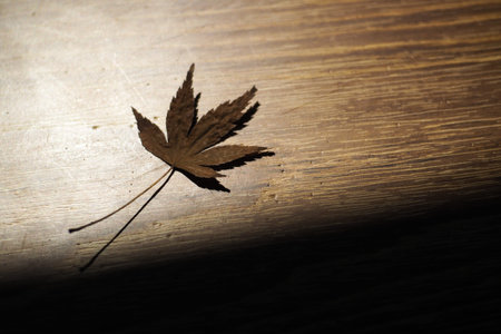 A maple leaf on wooden table