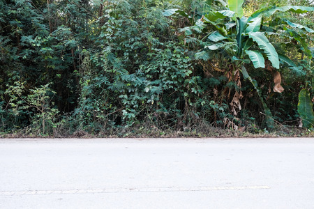 The forest and cement road in local Thailandの写真素材