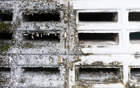 Half of mole and clean on the wallの写真素材