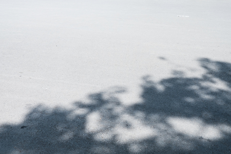 The shadow of leaves on a floor backgroundの写真素材