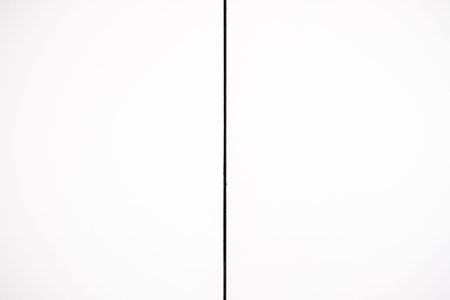 A black line in half of white texture background