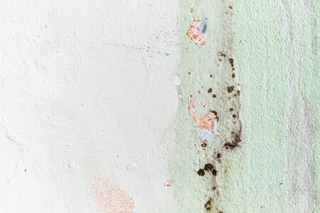 Mold growth on the interior wallpaper in the houseの写真素材