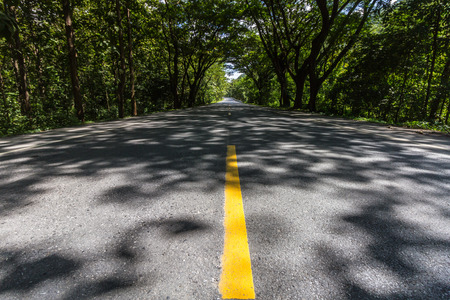 Road in countryside with tree and traffic lineの写真素材