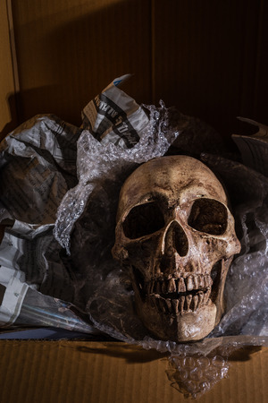 Still life skull on air buble and Newspaper in box.  concept  \\\" Some bad guy send skull for threaten or some friend sand toy skull make it for joke.の写真素材