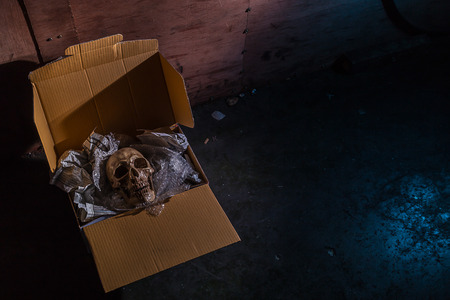 Still life skull on air buble and Newspaper in box.  concept  \\\" Some bad guy send skull for threaten or some friend sand toy skull make it for joke.の写真素材