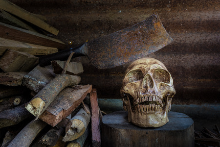 Still life skull, chopping knife  and  firewood. Abstract concept \\\"When human use firewood non stop The death is comeing to.の写真素材