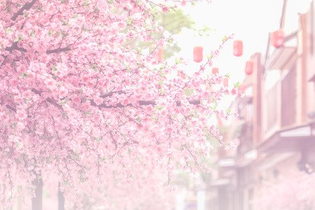 beautiful pink cherry blossom Sakura flower, and soft focus process with vintage japan building background.の写真素材