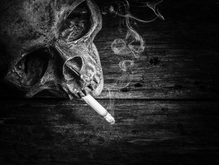Still life skull and cigarette smoke.black and white.の写真素材