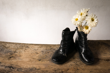 Still life old child deteriorate use for long time and dry wizened chrysanthemums.の写真素材