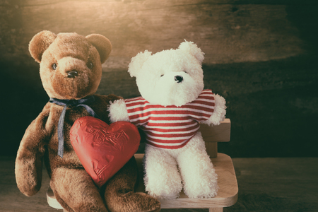 Lovers bear and red chocolate heart. concept love is no skin or raceの写真素材