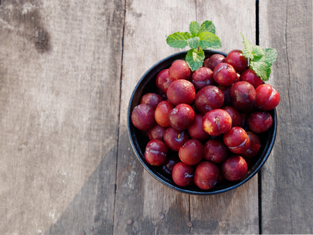 Plum Ju-li The species comes from Taiwan.の写真素材