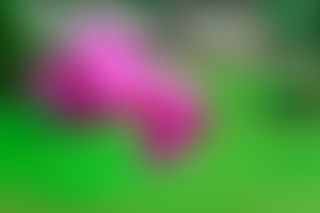 Blurred Green and pink bush backgroundの写真素材