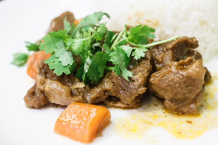 A meal of stew on a white plate, shallow depth of fieldの写真素材