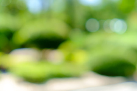 Green and yellow bush background. This is green bush and flower that is blurred by camera.の写真素材