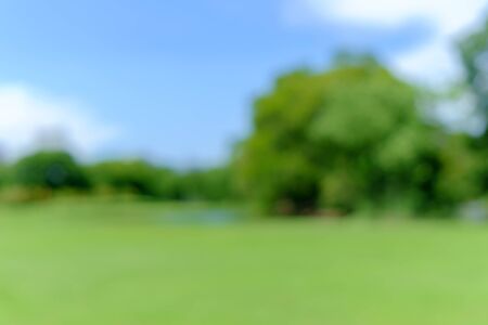 Blur green background. This is green bush and tree that is blurred by camera.の写真素材