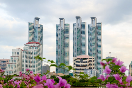 Modern building and cityscape at dusk with flower foreground.の写真素材