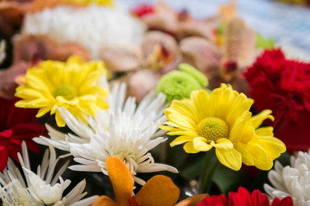 Bunch of flowers - Selective focus, shallow DOFの写真素材