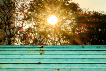 Empty green galvanized iron and blurred image of the part of tree with sun lightの写真素材