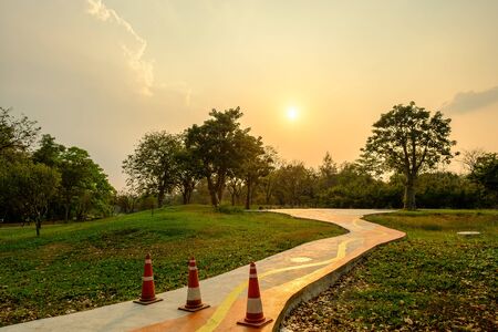 Beautiful evening light in public park with green grass field and green fresh tree plant perspective to copy space for multipurposeの写真素材