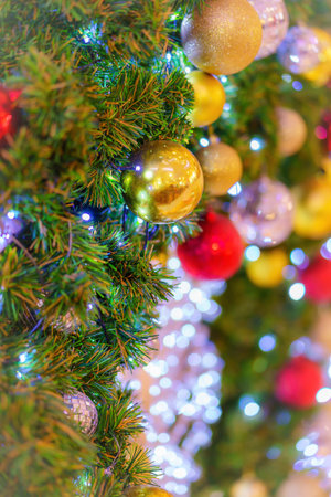Colorful christmas ball on the branches and green background, Softの写真素材