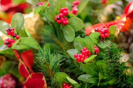 Red Christmas holly berries on Christmas decorationsの写真素材