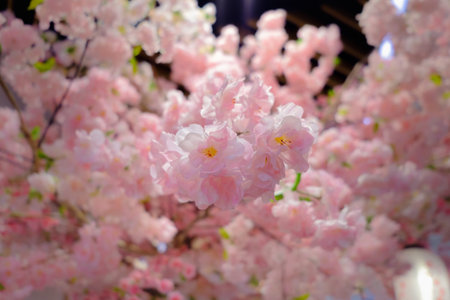 Vibrant cluster of faux cherry blossoms, showcasing delicate pink petals and soft lighting, creates a perennial springtime ambiance.の写真素材