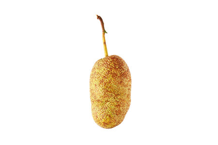 Cempedak, Jumpada thai fruit on white background